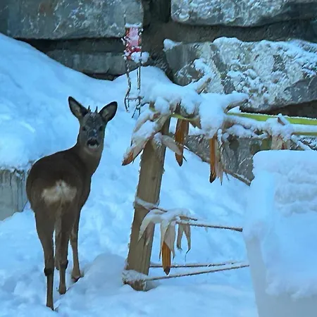 シャレー Familial Bergerie